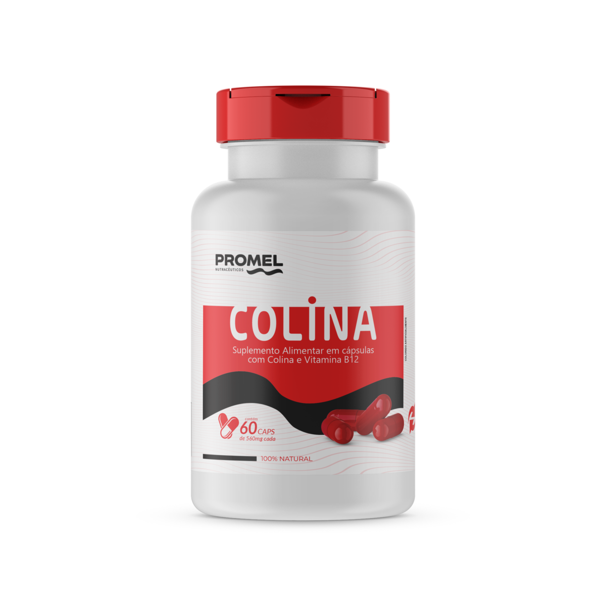 COLINA E VITAMINA B12 Promel